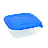 Cutie alimente pătrat 1.7 L-Fresh&Go-00561-139-Transparent/Albastru