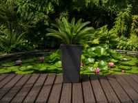 Finezja negru efect beton 1