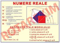 Numere reale