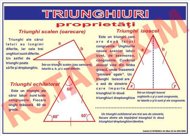 Triunghiuri - Proprietati