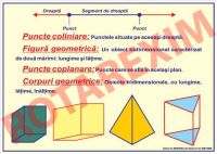 Geometrie - Notiuni elementare