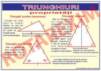 Triunghiuri - Proprietati