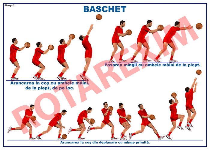 Baschet 2