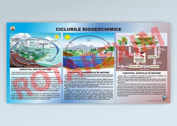 Ciclurile biogeochimice