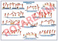 Gimnastica 1