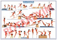 Gimnastica 2