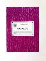 CATALOG GRĂDINIȚĂ