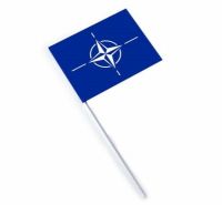 STEGULEȚE NATO