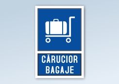 Carucior bagaje