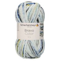 Bravo Color Schachenmayr 02137