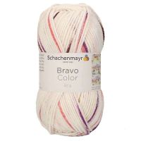 Bravo Color Schachenmayr 02138