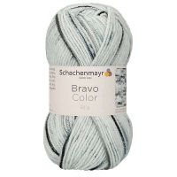 Bravo Color Schachenmayr 02139