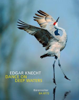 Dance On Deep Waters • Knecht, Edgar