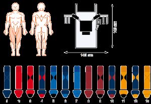 EN-Dynamic Track, Adduction for lower extremities MDD version