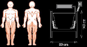 EN-Dynamic Track, Leg extension for lower extremities  MDD version