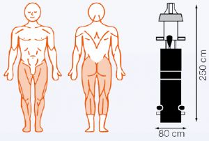 EN-Dynamic Track, Squat for lower extremities MDD version