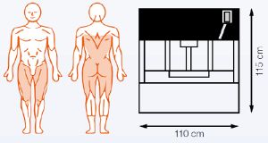 EN-Dynamic Track, Total Hip   MDD version