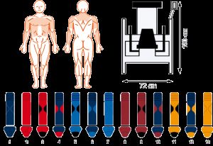 EN-Dynamic Triceps Dips