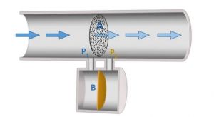 Piese de gură ( 50 buc. )