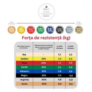 Bandă elastică - metru Albastru / extra greu Theraband