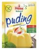 HAAS budinca vanilie 40 g