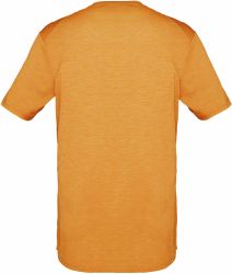 2419 19 5560 Tricou Merino Norrona Svalbard Wool Tshirt   (2)