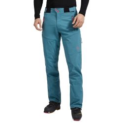 BA0642322 Hurricane Cherry Tomato  (3)