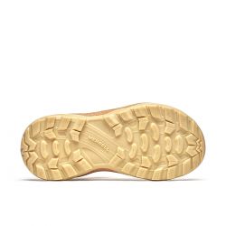 image  20250310T083622.405