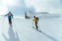VALLON135