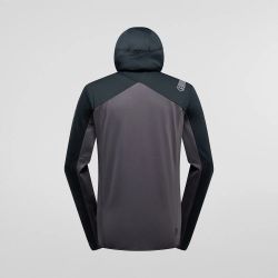 ZASF043G19K0003ZASF043G19K00XS