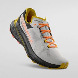 ZFRS081W04K0006ZFRS081W04K0038