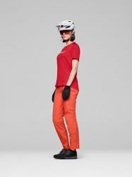 cpaddimgmissing  20260317T152309.368