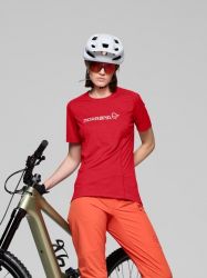 cpaddimgmissing  20260317T152324.505