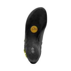 zfcs146g00e2902s1