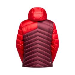 zacc020 r24r25 0302