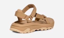 1173671 TAN 4