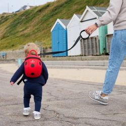 L10813 animal backpack ladybird 7