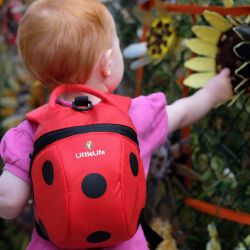 L10239 animal backpack ladybird 5