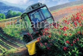 78b12e7df2ae4515ab3fac152248d528