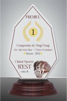 Trofeu acryl premium  WAT13