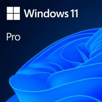 LIC OEM WIN 11 PRO 64BIT RO