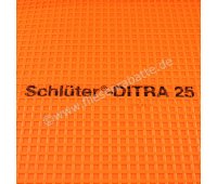 schlueterditraditra2530m3